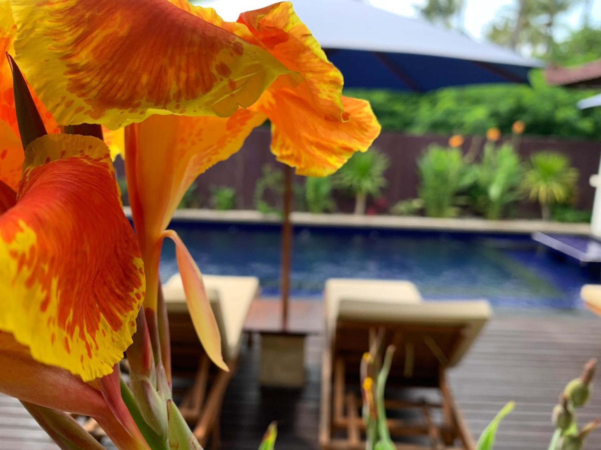 Relax Villas 吉利阿尔 外观 照片